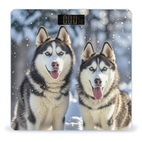 Báscula digital Adorable Huskies con vidrio templado y pantalla LCD