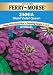 Ferry-Morse Annual Flower Seeds 1177 Zinnia - Giant Double Flow Violetqueen 700 Milligram Packet