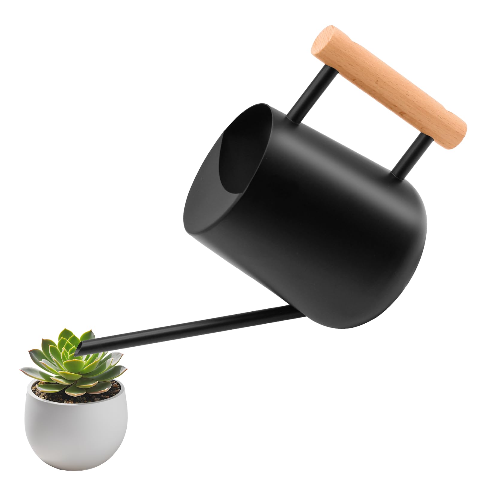 Gießkanne Klein 1L Metall Giesskanne Zimmerpflanzen mit langem Auslauf, 1000ML Edelstahl Gieskanne Gartengießkanne für Drinnen Topfpflanzen Sukkulenten, Watering Can Garten