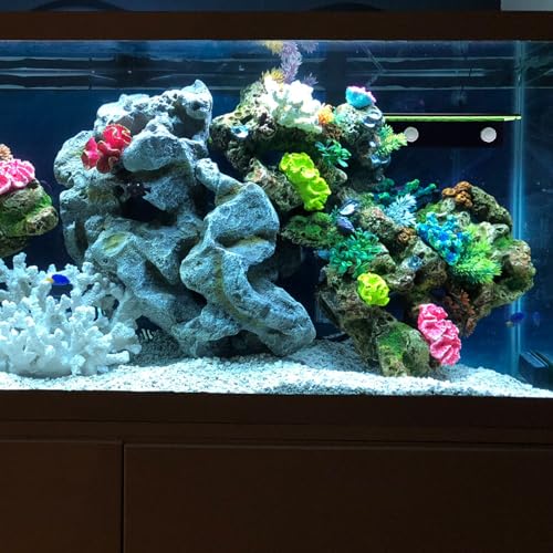 Support bouture coraux double fluorescent vert en rack pour aquarium SPS - 7