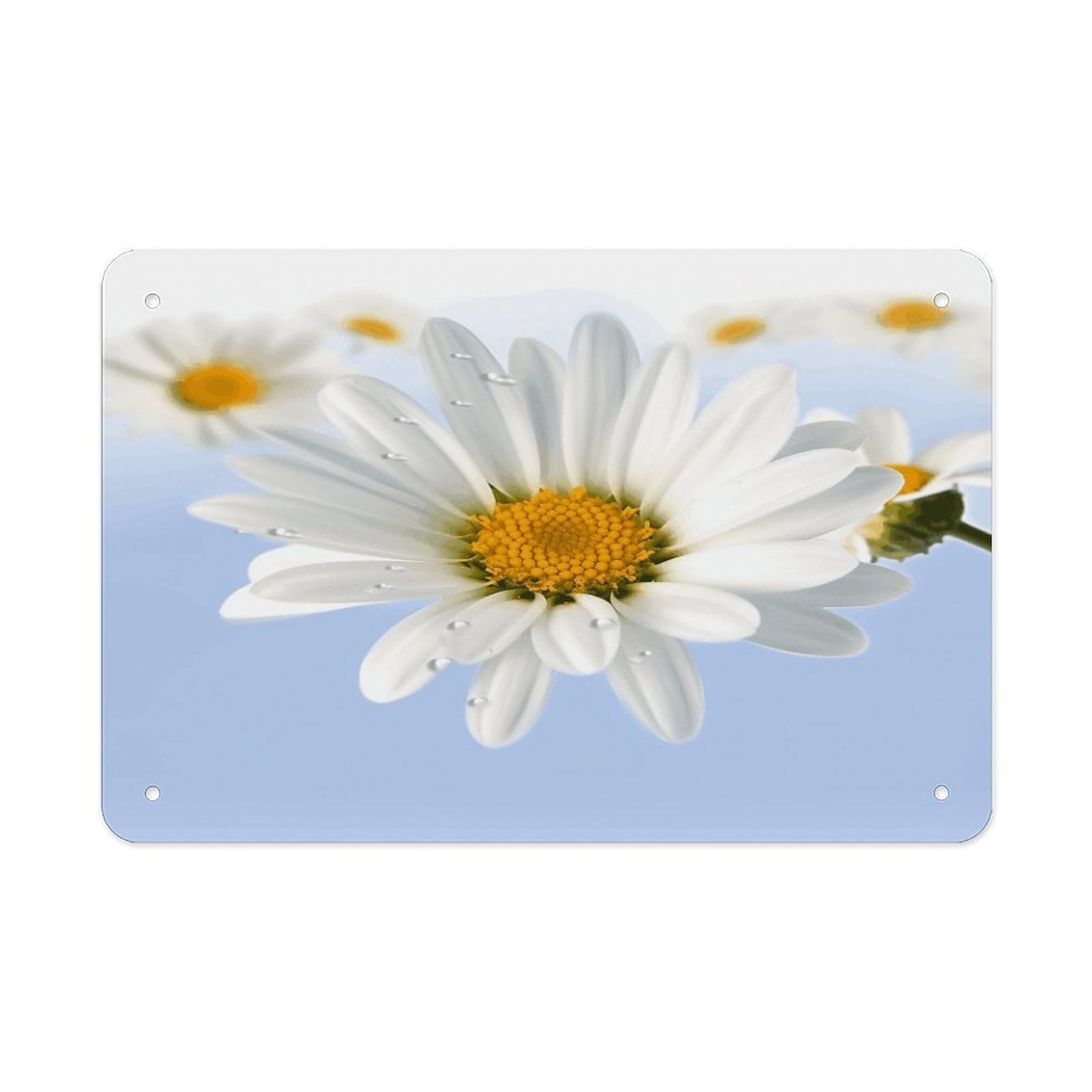 White Daisy Metal Tin Sign 12"x8" Wall Art Prints Poster Decorative Picture Metal Signboard Decor Painting Folded Edge Iron Sheet Painting with Holes for Wall Decor
