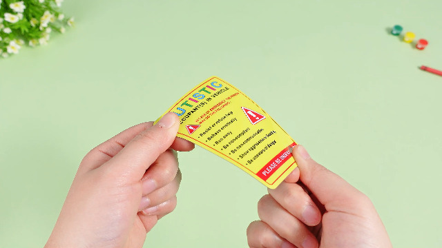 Set de 30 imanes decorativos para autism miniatura 7