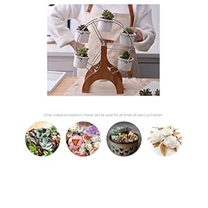 Succulent Planter Set Indoor Plant Pot Ferris Wheel Plant Stand with 6 Pots Succulent Planter Set Indoor Plant Pot Ferris Wheel Plant Stand with 6 Pots