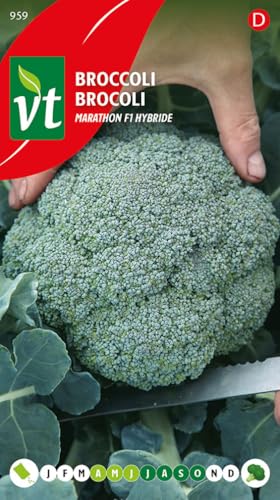 Brocoli Marathon F1 hybride Graines - Sélection de qualité produisant des pousses de qualité