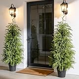 2-Pack 4FT Topiary Trees Artificial Outdoor, Potted Norfolk Pine Faux Tree, UV Resistant Artificial Trees for Home Decor Indoor Front Porch Decor Tall Fake Plants