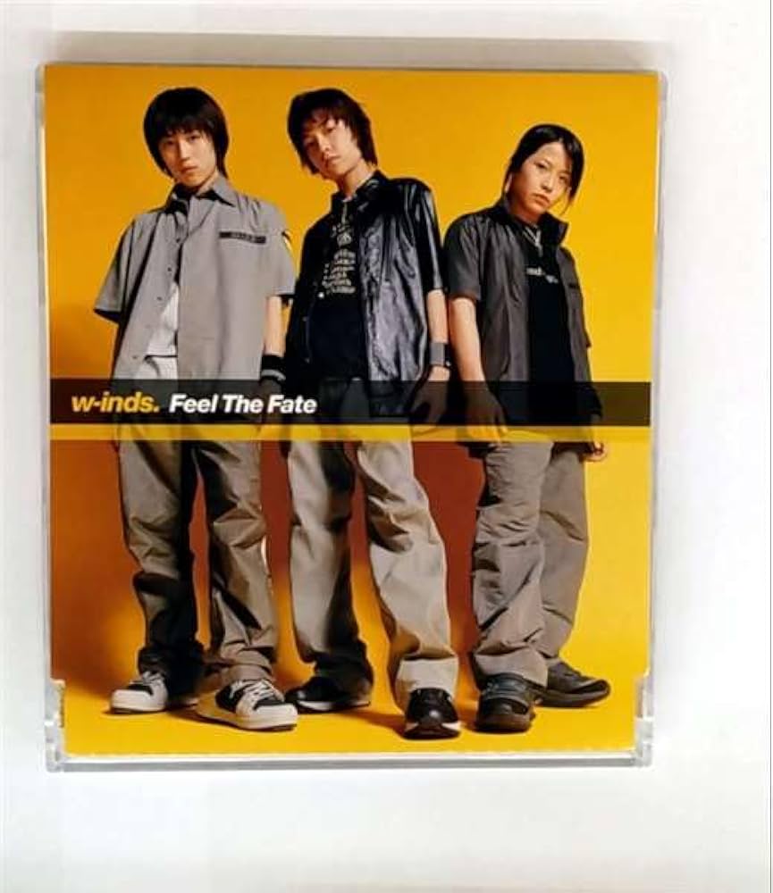 winds Feel The Fate 帯付き Feel The Fate