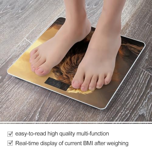 Báscula Digital de Baño RLDOBOFE Anguila León Rugiente miniatura 5