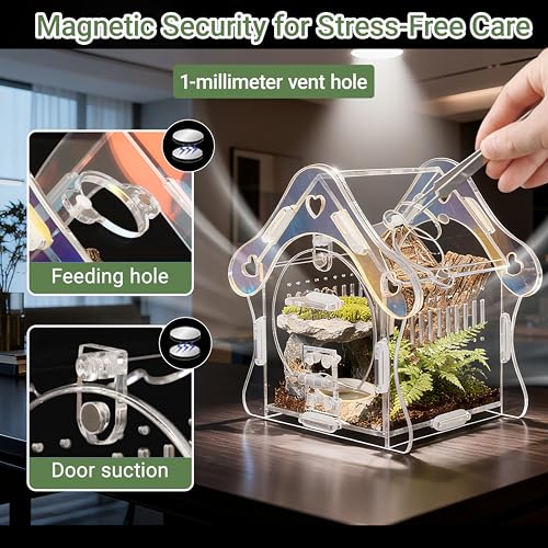 Image of Jumping Spider Enclosure Kit, Acrylic Habitat with Magnetic Door, 3.5 inch L x 3.5 inch W x 4.9 inch H, for Jumping Spiders, Tarantulas, Mantis, Beetles