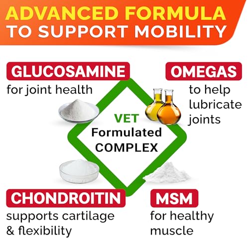 Senior Advanced Glucosamine for Dogs - Small + Large Breeds -Omega-3 Fish Oil - Chondroitin, MSM- Soft Chews for Older Dogs - Bacon Flavor - 120Ct image 4