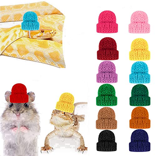 12 Pcs Cute Small Animal Hat with Adjustable Elastic Chin Strap, Snake Hamster Lizard Guinea Pig Knitted Hat Small Pet Reptile Decoration Supplies Lovely Headwear Christmas Accessories (12 Pcs)