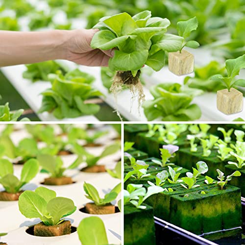 Legigo 1 Inch Rockwool Cubes Seed Starter Plugs for Hydroponics, RockWool Planting Grow Cubes for Hydroponic Tower Garden Soilless Cultivation Plants Germination Cutting Clone (4 Sheet, 200 Plugs) - Image 7