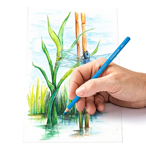 Staedtler Crayons de couleur aquarellables de haute qualité pour artistes, Utilisables à sec ou à l'eau, Mine douce et tendre de 3 mm, Boîte en métal avec 12 couleurs différentes assorties, 14610C M12 – vue 5
