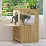 GDLF Cat Feeding...image