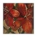 Trademark Fine Art Vivid Red Lily on Gold Crop by Silvia Vassileva, 18x18-Inch Fine Art, Multicolor