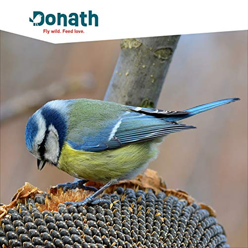 Donath Energie-Knödel Hanf im Bio-Netz - Meisenknödel im Bio-Netz - 100g je Knödel - Extraportion Hanfsamen - wertvolles Ganzjahres Wildvogelfutter - unsere Manufaktur in Süddeutschland - 6er Karton