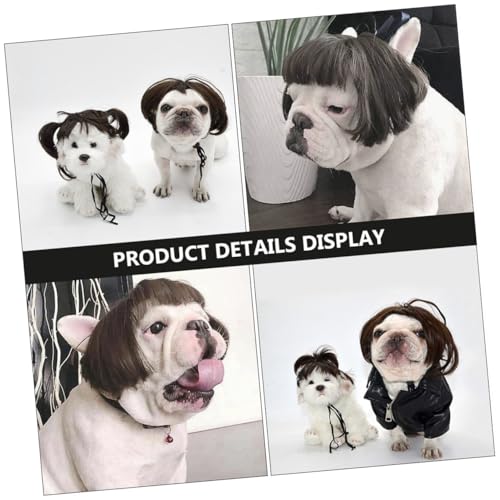 TOGEVAL ybgpEBbO pwbhANZT[ EȒP LRXvXq 킢蕨 ybgBe p[eB[ nEBp