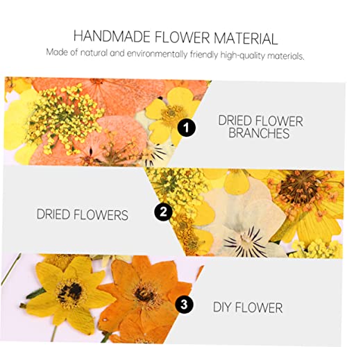 Kit de flores prensadas secas para manualidades color naranja miniatura 6