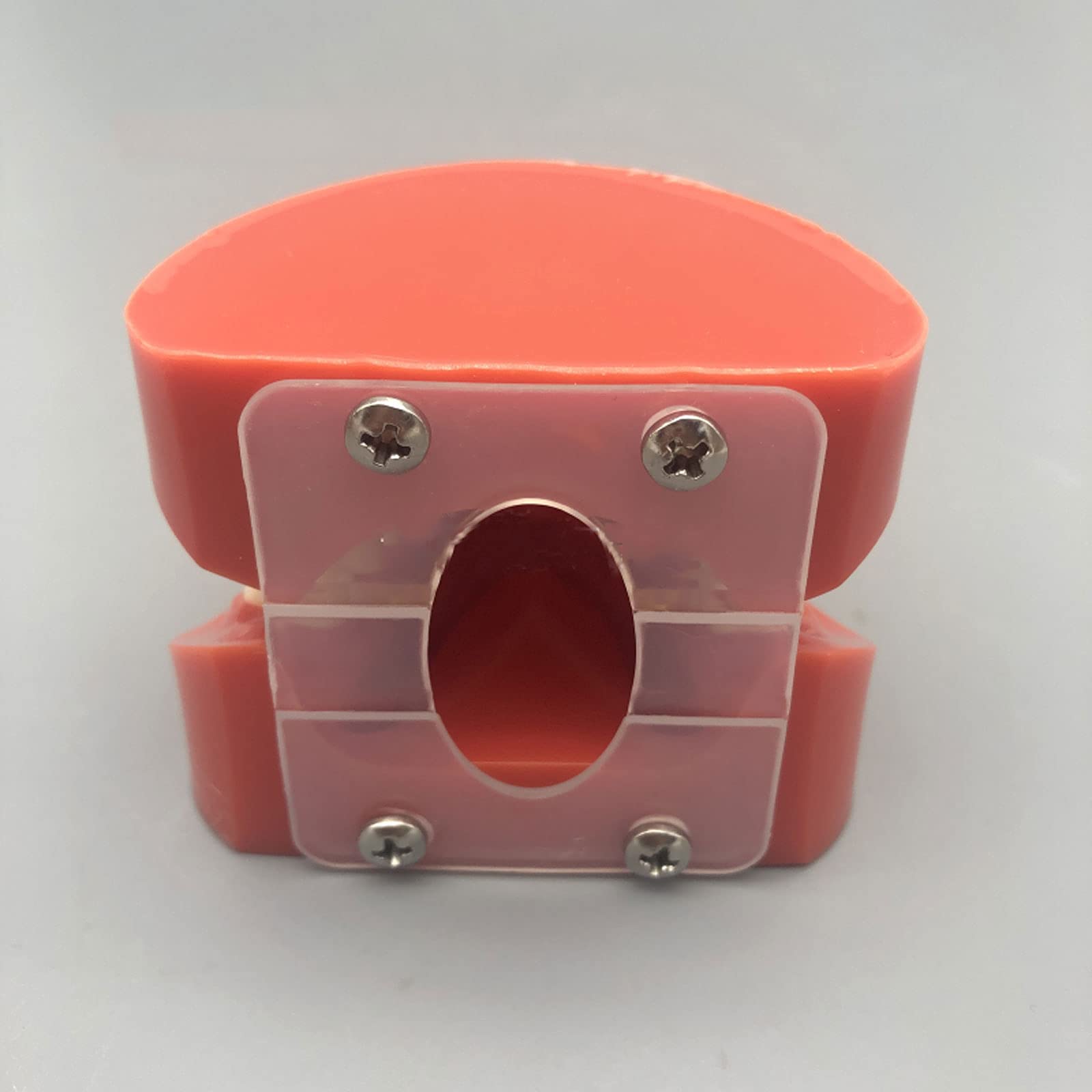 Modelo de Dientes de Implantes Dentales, Modelo de Dientes Dentales, Cuatro Modelos de Comparación de Soportes, Duraderos Adecuado para Intercambios de Demostración Entre Médicos y Pacientes.