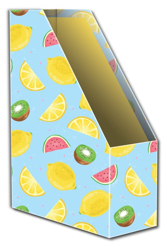 Nourish Foldable Magazine Holder Organiser -Model-33
