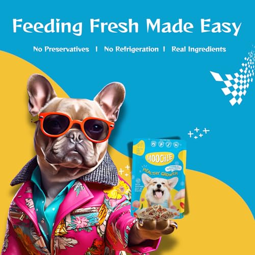 PETS-EMPIRE-Moochie-Wet-Dog-Food-Grain-Free-Gavy-Meal-Healthy-Growth-with-Chicken-Carrot-Goji-Berries-and-Brown-Rice-High-Protein-Dogs-Gravy-Foods-Non-Veg-Pet-Meals-for-Dogs-Puppy-85g-X-12