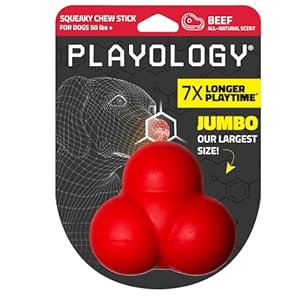 Playology Squeaky Bounce Ball for Large to X-Large Dogs 50lbs & up | Engaging All-Natural Beef Scented Dog Chew Toy for Tough Chewers | Easy to Clean, Interactive & Non-Toxic Materials