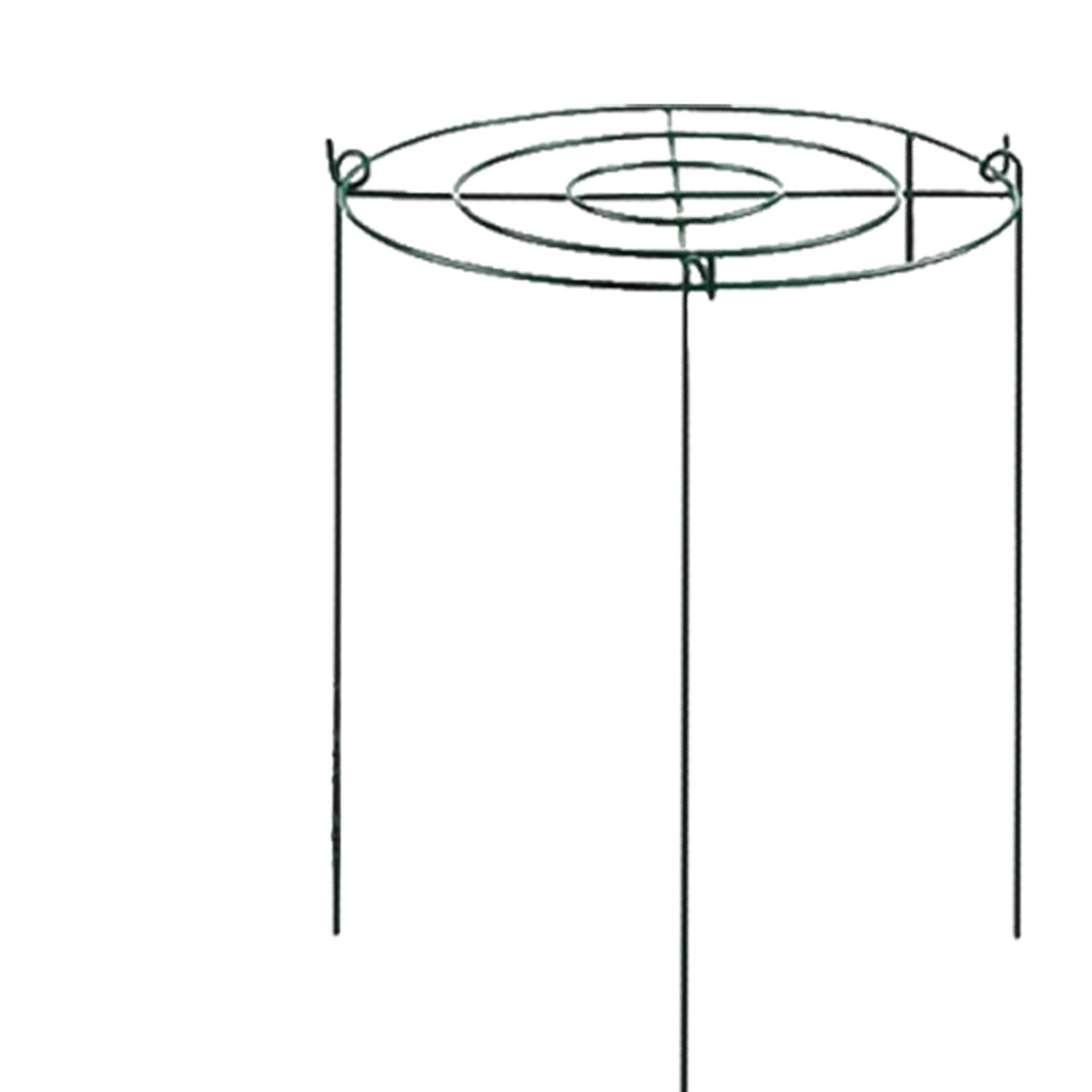 Tuteurs Annulaires pour Plantes Grimpantes, Poteaux Métalliques pour, Fraisiers, Plantes D'extérieur, Orchidées, Tomates, 35 Cmx60 Cm