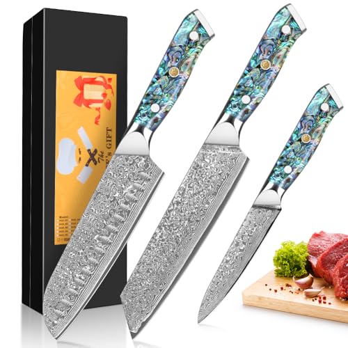 Home Safety Damascus Knife Set of 3, 12.4-19cm Chef's Knife Set Made of 67 Layers of VG-10 Damascus Steel, Santoku Knifes, Kiritsuke Knifes, Ergonomic Abalone Shell Handle, Gift Box