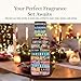P&J Fragrance Oil Christmas Set | Christmas Wreath, Mistletoe, Candy Cane, Gingerbread, Cinnamon, and Cranberry Candle Scents, Freshie Scents, Candle/Soap Making Supplies