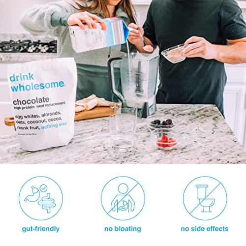 Drink Wholesome Chocolate Meal Replacement Powder | Easy To Digest & Gut Friendly | Simple Ingredients | Minimally Processed | Additive Free | Dairy Free | Lactose Free | Gluten Free #TOP1