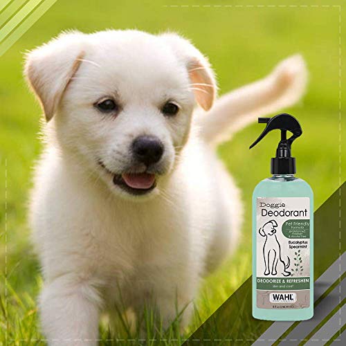 Wahl Deodorizing & Refreshing Pet Deodorant for Dogs - Eucalyptus & Spearmint for Coat Shine & Strengthening - 8 Oz