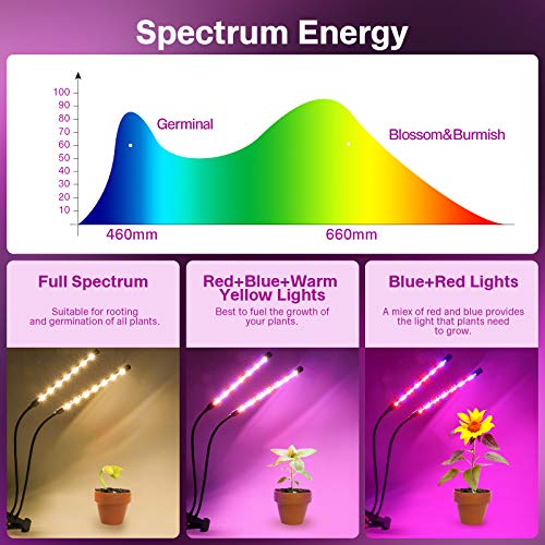 KOOSEED LED Pflanzenlampe mit Vollspektrum Licht für Pflanzenwachstum