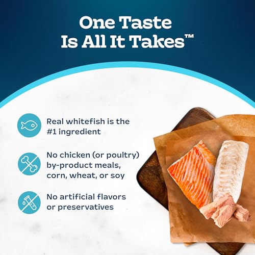 Image of Blue Buffalo Tastefuls Spoonless Singles Variety Pack, Wet Cat Food Pate, 2.6-oz. Twin-Pack Trays, Whitefish /Tuna & Salmon Entree (12 Count)