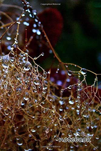 notebook: 6x9 cute lined journal | water drops nature plants reflection