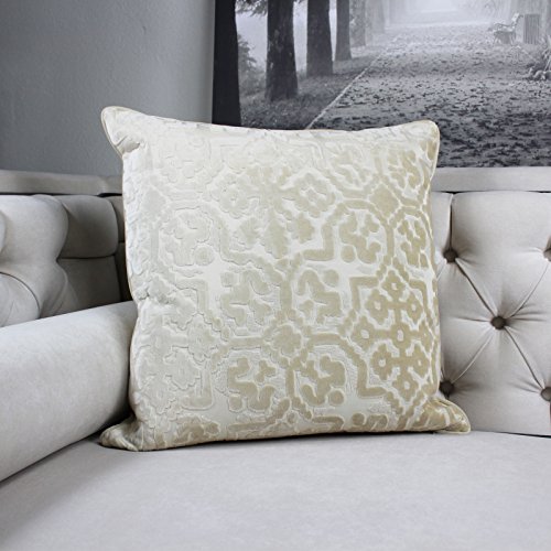 Homey Cozy Modern Velvet Throw Pillow Cover,Ivory White Luxury Soft Fuzzy Cozy Warm Slik Decorative Square Couch Cushion Pillow Case 20 X 20 Inch, Cover Only #TOP1