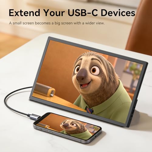Image of 17.3 Inch Portable Monitor, HD+ 1600x900 Resolution, 16:9 Widescreen IPS Display, Ultra-Slim External Second Monitor for Laptop, Phone, PS5, Xbox, Switch, PC (17.3 inch)