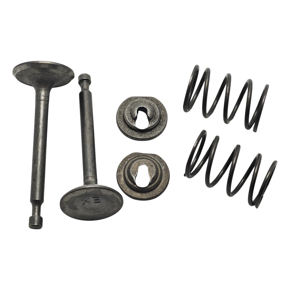 Set di guarnizioni for stelo a molla di ritenzione della valvola di scarico di aspirazione compatibile con Honda GX160 GX200 5.5HP 6.5HP Motore for tosaerba Pezzo di ricambio