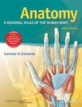 健康・医学 ATLAS OF HUMAN ANATOMY 6th EDITION Atlas of Human Anatomy, 6th Edition - YouTube