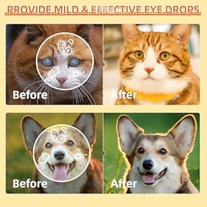 Cataract Drops for Dogs, Dog Eye Drops, Improve Vision Clarity, Improve Eye Vision and Cataracts (2 x 10 mL) Cataract Drops for Dogs Dog Eye Drops Improve Vision Clarity Improve Eye Vision and Cataracts 2 x 10 mL