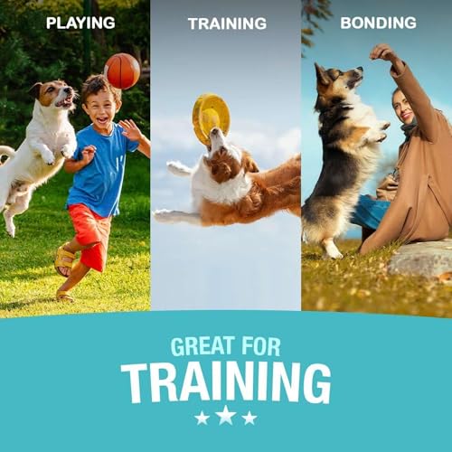 Image of Jerhigh Chicken Dog Treats, Human Grade High Protein Chicken, Fully Digestible Healthy Snack & Training Treat, Free from by-Products & Gluten, Carrot 70gm (18 X 70g) Sold by DogsNCats