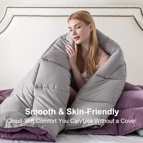 Image of KASENTEX Queen Comforter Set, Reversible,Goose Down Alternative,All Season | 250 GSM Fill, Ultra-Soft, Lightweight, Machine Washable, 1 Comforter + 2 Pillow Shams, Grape Jam /Gull