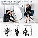 WELLMAKING 32 Inch (80cm) Reflector Photography, Collapsible Light Reflector with Bag & tilt Adapter, 5 in 1 Handle Reflector for Studio & Outdoor Lighting -Translucent, Silver, Gold, White and Black