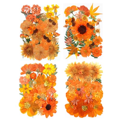 Flores prensadas naranjas secas Surakey 30 piezas miniatura 4