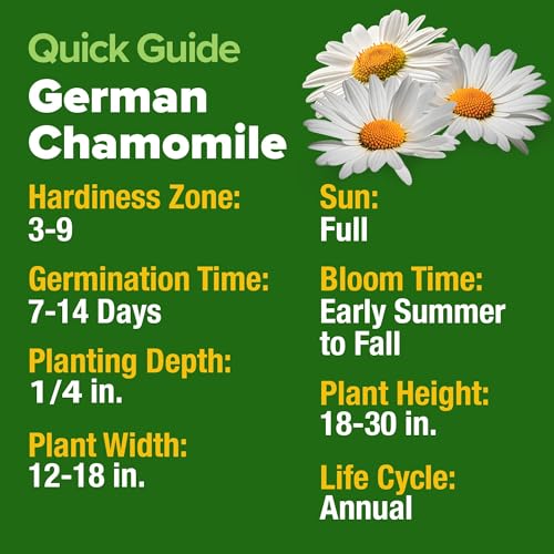 Image of HOME GROWN German Chamomile Seed Pack - 4,560 Heirloom Seeds for Planting for Sustainable Gardens and Soothing Medicinal Herbal Teas (Matricaria chamomilla)