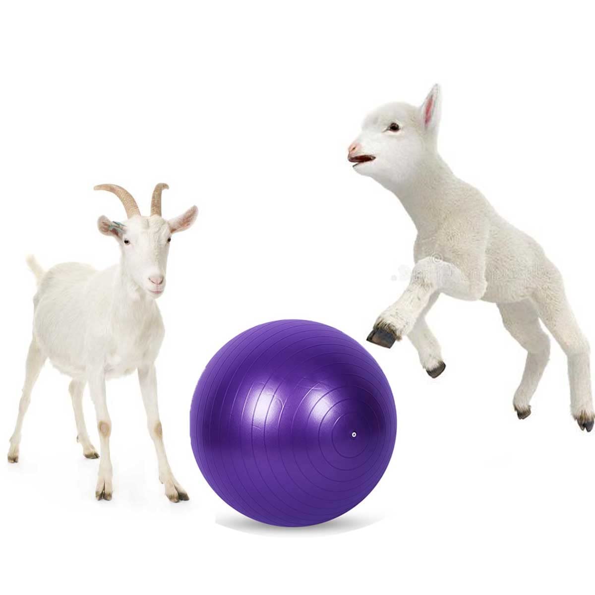 Balle de yoga de chèvre - Jouet d'entraînement anti-éclatement avec pompe de gonflage pour chèvre et agneau - 55,9 cm - Violet