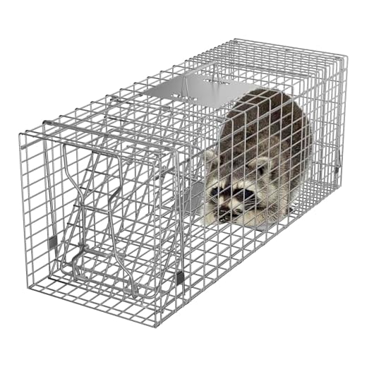 HomGarden Humane Live Animal Cage Trap 32inch Steel Catch Release Rodent Cage for Rabbits, Groundhog, Stray Cat, Squirrel, Raccoon, Mole, Gopher, Chicken, Opossum, Skunk, Chipmunks