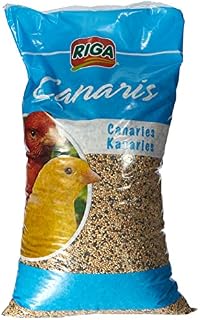 Riga Mieszanka nasion dla kanarków, 1 opakowanie (1 x 3 kg)
