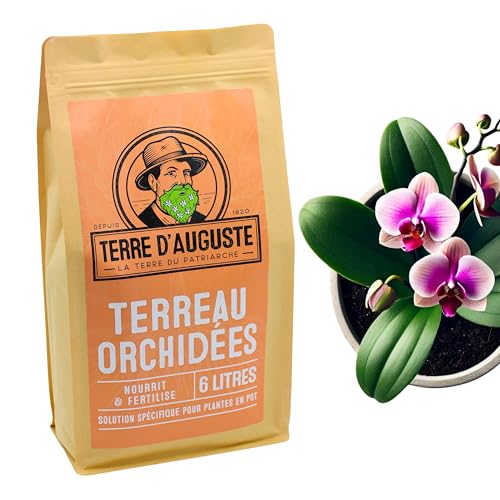 Terre d'Auguste - Terreau Orchidée 6L, Substrat Premium pour Rempotage Orchidée, Idéal pour Plantes d'Intérieur