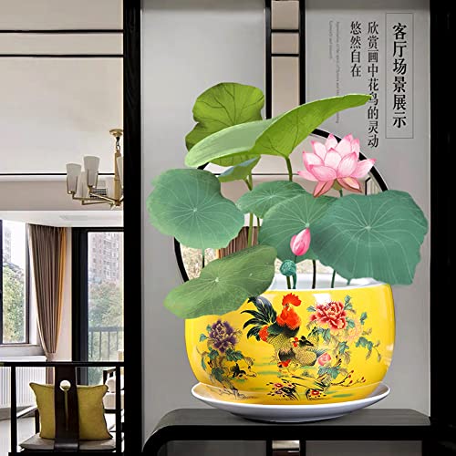 Pot de fleur de style chinois avec bac pour éviter les fuites d'eau - 4