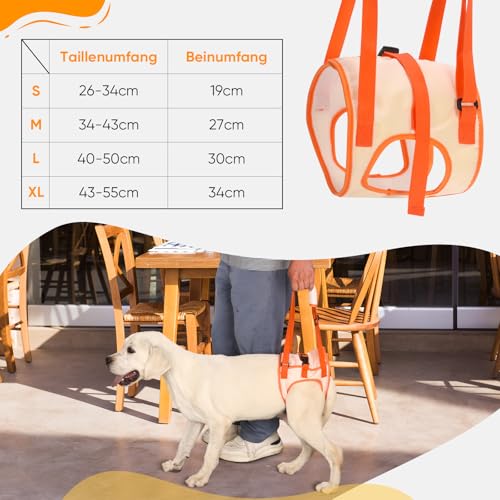 Tragehilfe Hund Groß, Hundegeschirr für Hinterbeine, Hundetrage für Hunde mit Verletzungen, nach Operationen oder Arthritis, Stabil & Atmungsaktiv, Einfach Anzulegen,Hunderollstuhl Alternative XL
