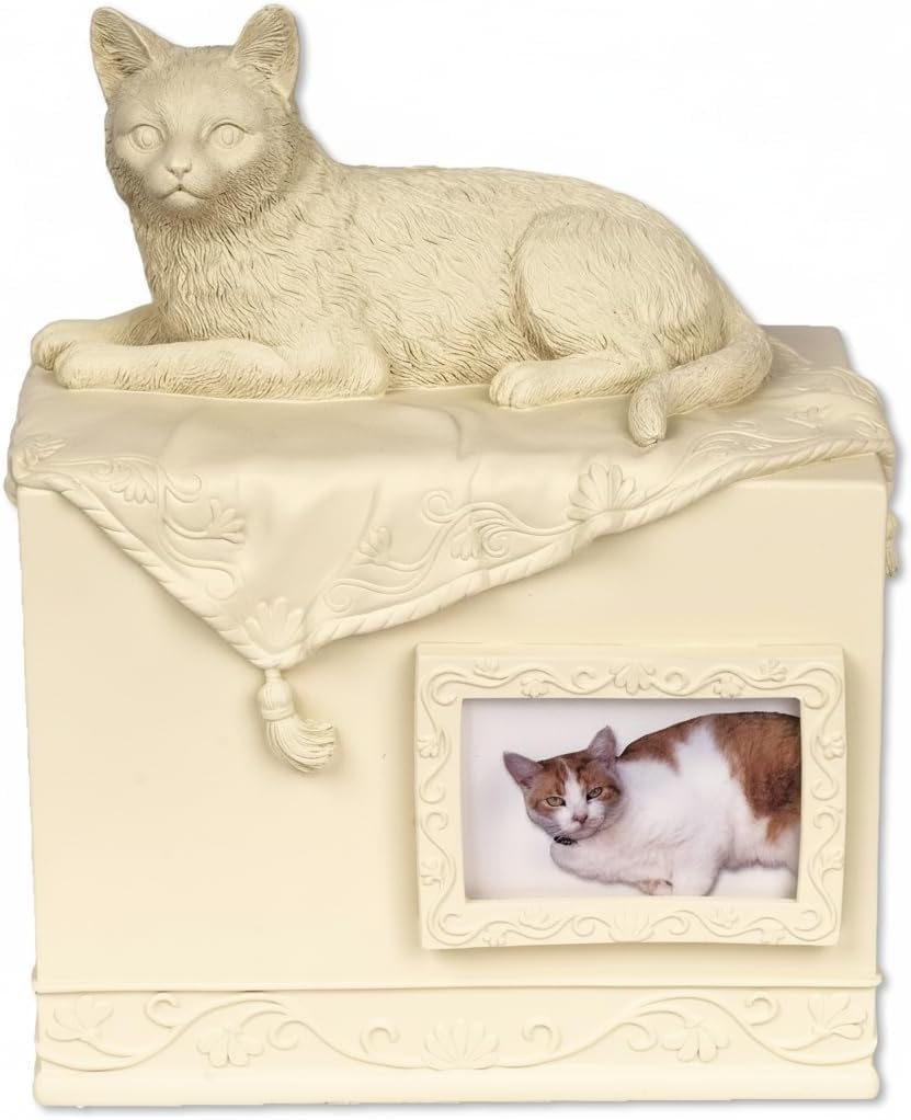 Comfy Hour 7.75" Porcelain Angel Star Pet Urn for Cat, Brown, Pet In Loving Memory Collection